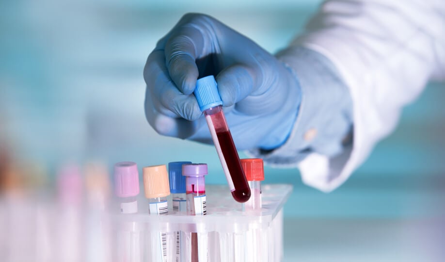 Ortho Workstation User Manual Pdf