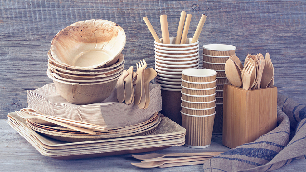 Essays on reducing waste picture