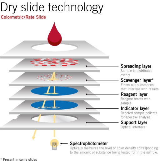 Dry формы. Технология dry +. технология dry + форма. slides about technology. quidelortho.